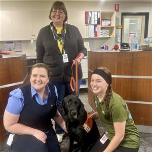 St Andrew's therapy dog 